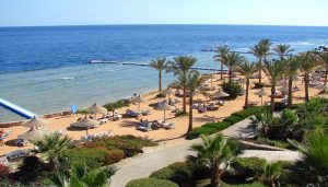 Queen Sharm Resort - Beach Area